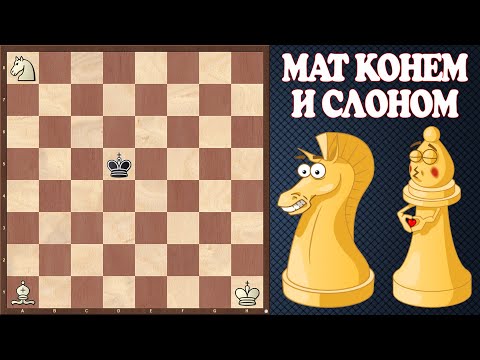 Видео: Как поставить МАТ КОНЕМ И СЛОНОМ? СХЕМА и АЛГОРИТМ доступны КАЖДОМУ