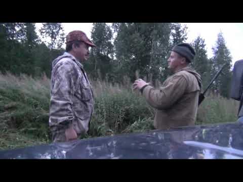 Видео: Охота на овсах #охота #мужики #охотник #кабан #медведь #деревня