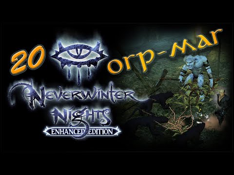Видео: NWN Enhanced Edition #20 «Ганон и Дергиаб»