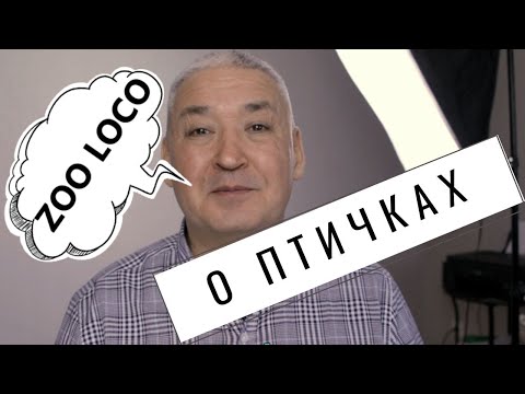Видео: Испанский язык по детским стихам. Стихи для детей Марии Елены Волш из сборника "ZOO LOCO".