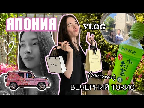 Видео: VLOG Япония🌸: перелет, корейский квартал, Гинза, Акихабара | Еда, шоппинг и болтовня
