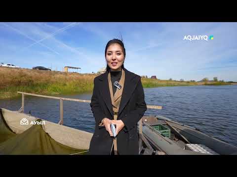 Видео: Теректі ауданының аграрлық жетістіктері телеэкранда