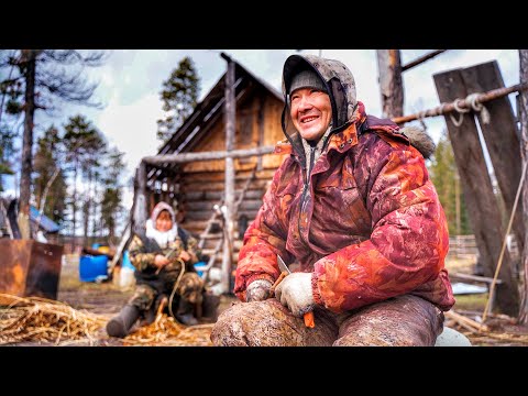 Видео: Вернуться в тайгу. Промысловая охота и рыбалка у северных селькупов. 4 часть | С полем!