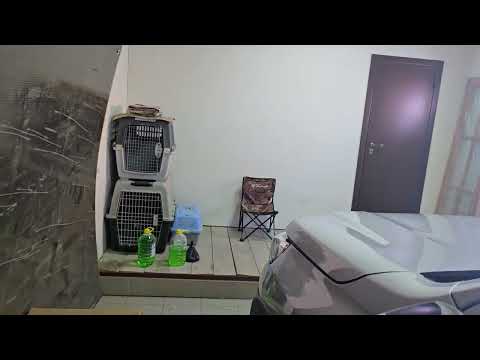 Видео: Мой  Changan Hunter Plus. Вся правда.