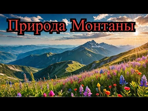 Видео: Красоты Монтаны