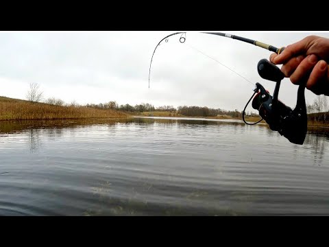 Видео: ПОПАЛ НА ЖОР КРУПНЫХ ЩУК!ТАКИХ НЕ ВИДЕЛ ЕЩЕ!!ПЕРВЫЙ ЛЁД НЕ НУЖЕН!БОРЬБА С МОНСТРОМ.