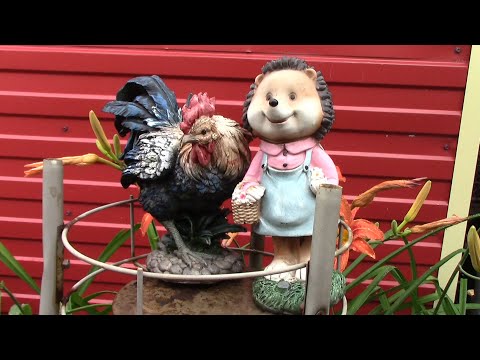 Видео: Июльские новости с нашей "волости"