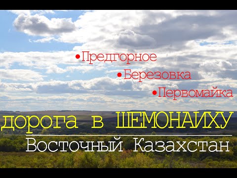 Видео: Дорога в Шемонаиху. ОЧЕНЬ красивые виды. Предгорное, Березовка, Первомайское. Восточный Казахстан.