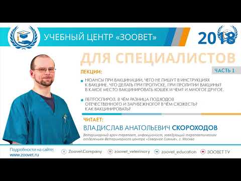 Видео: Скороходов В. А. в УЦ «Зоовет»