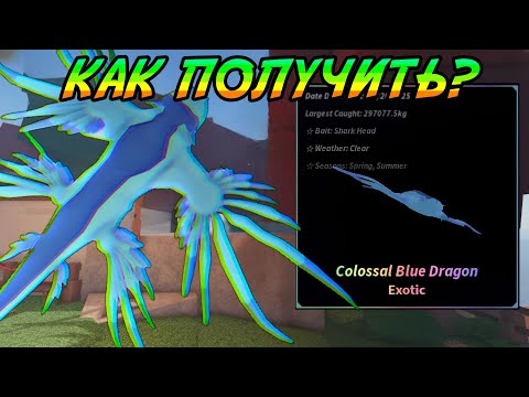 Видео: ОХОТА НА КОЛОССАЛЬНОГО СИНЕГО ДРАКОНА В ФИШ РОБЛОКС! | FISCH ROBLOX!