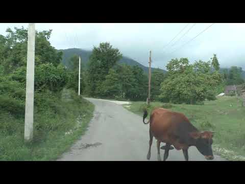 Видео: Дорога в Верхнюю Мцару. Абхазия.