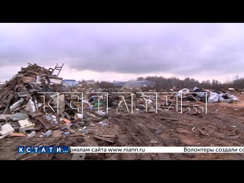 Видео: Представители «мусорной» мафии требовали документы у сотрудников администрации, пришедших на свалку