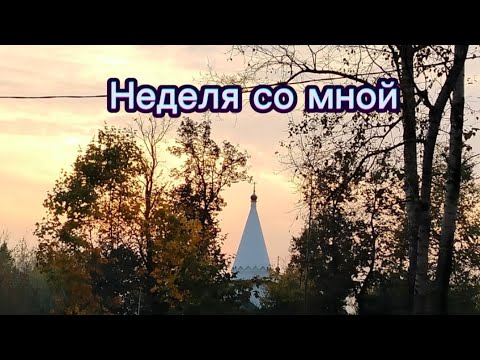 Видео: Неделя со мной)