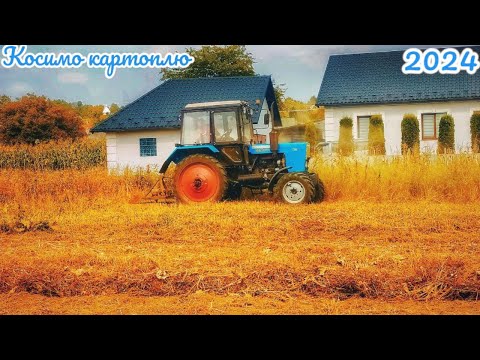 Видео: Косимо картоплю 🥔❗️ Трактором 🚜 МТЗ 82.1❗️