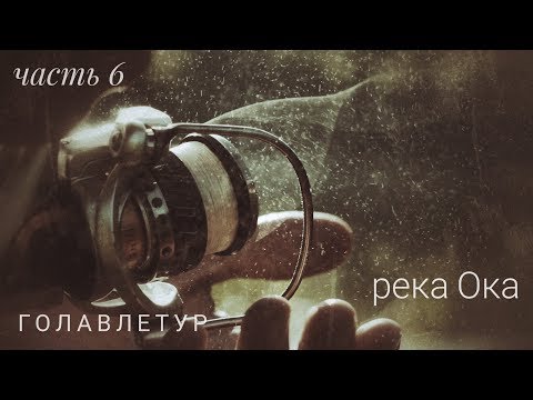 Видео: Голавлетур. Ока Тульская.