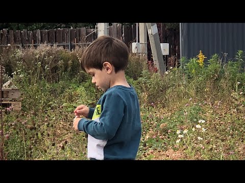 Видео: ДИАГНОЗ ОТ ПСИХИАТРА СУХАРЕВСКОЙ. ЗАНЯТИЯ МИРОНА И ПОИСК ЦЕНТРА 