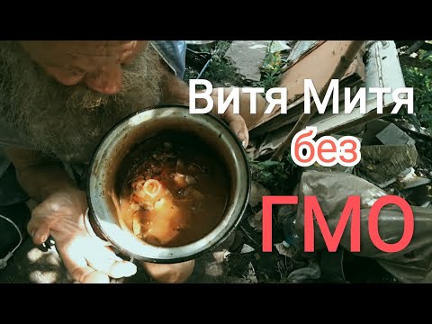 Видео: Омоложение ЯБЛОК у курином бульоне без ГМО (12.09.2021)