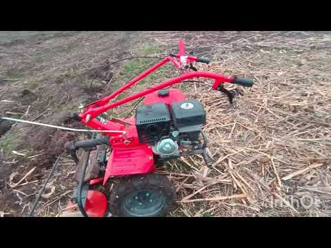 Видео: Прибирання кукурудзиння косаркою мотоблока Forte 1350g 13 кінських сил