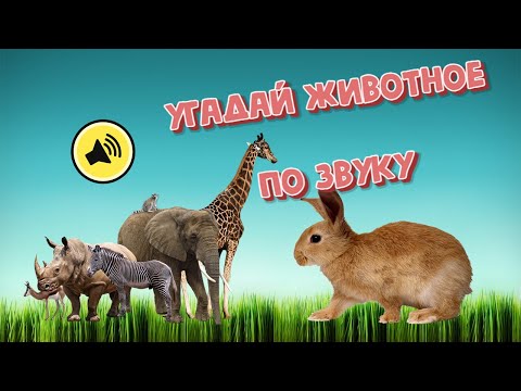 Видео: СОВУНЬЯ И МИКСМАКС УГАДЫВАЮТ ЗВУКИ ЖИВОТНЫХ