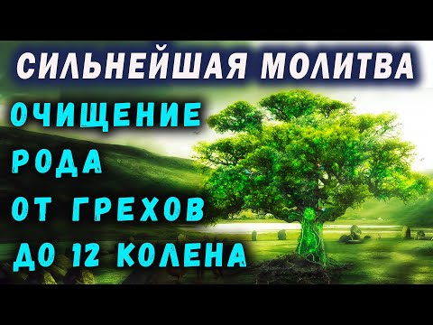 Видео: САМАЯ СИЛЬНАЯ МОЛИТВА / МОЛИТВА НА ОЧИЩЕНИЕ РОДА ОТ ГРЕХОВ ДО 12 КОЛЕНА / ПОКАЯНИЕ ЗА ВЕСЬ РОД