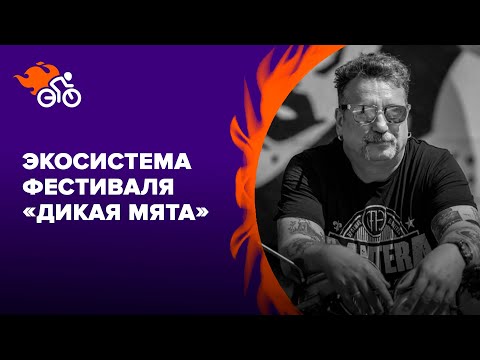 Видео: Экосистема фестиваля «Дикая Мята»