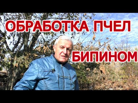 Видео: Обработка пчел бипином. И какой же результат?