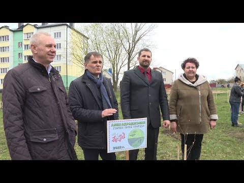 Видео: Рябиновая аллея появилась на территории Старобинской школы