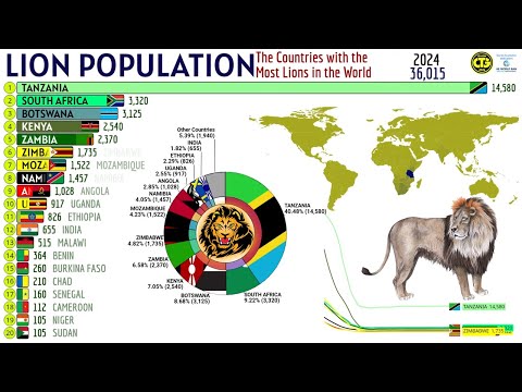 Видео: Страны с самым большим количеством львов в мире