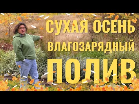 Видео: Сухая осень. Влагозарядный полив.
