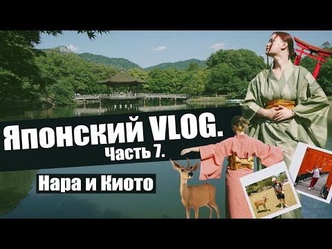 Видео: Японский VLOG. Часть 7 │Нара и Киото 🇯🇵