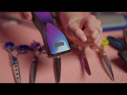 Видео: Какие инструменты нужны  для отработки стрижки по породе "Шпиц"