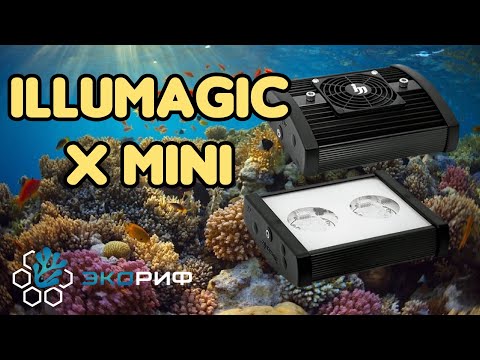 Видео: Светильник для морского аквариума Illumagic x mini