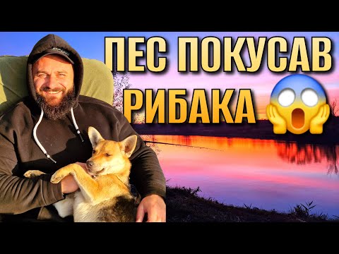 Видео: 🎣 9 КАРПІВ ЗА 7 ГОДИН! Такий батл ти ще не бачив 😱