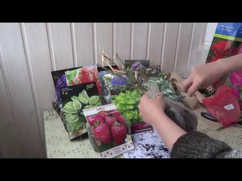 Видео: Агрофирма ПОИСК. Распаковка посылки. Отзывы. Весна 2017