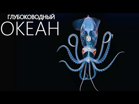 Видео: Тайны "сумеречной зоны" глубин Океана.