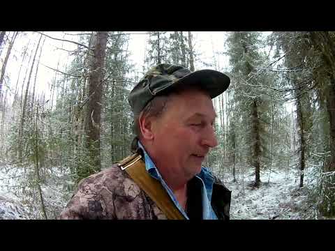 Видео: Путик продолжение ,Начинаем выставлятся 1 путик.