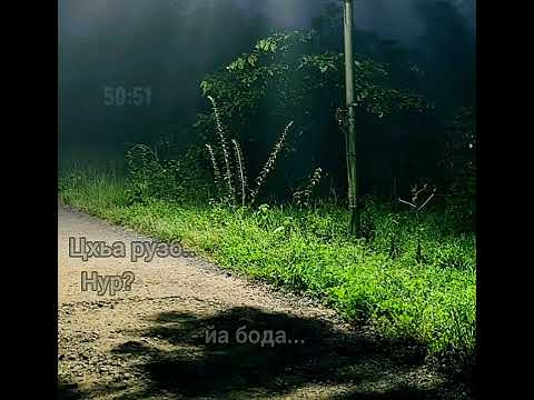 Видео: #Рузба #дитаран #кхерам