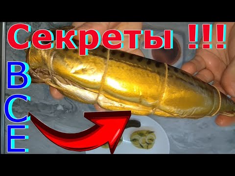 Видео: ВКУСНО, ПРОСТО и ПРАВИЛЬНО !!! ОШИБКИ и ПОДРОБНОСТИ копчения. СКУМБРИЯ ГОРЯЧЕГО КОПЧЕНИЯ !!!