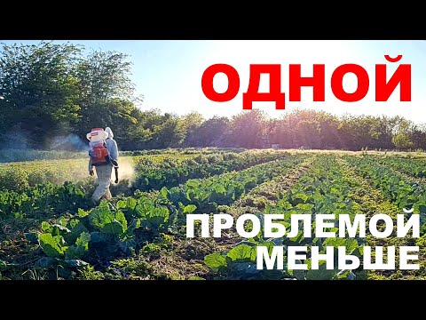 Видео: Спасаем ферму от насекомых. Новый опрыскиватель в хозяйстве.