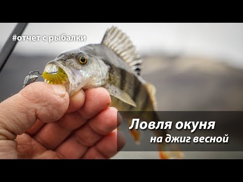 Видео: Ловля окуня на джиг весной