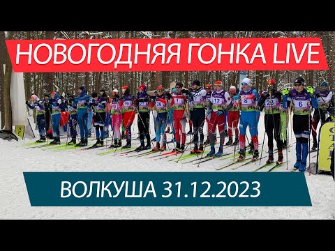 Видео: Новогодняя гонка на Волкуше (с телеметрией) - LIVE  31.12.2023