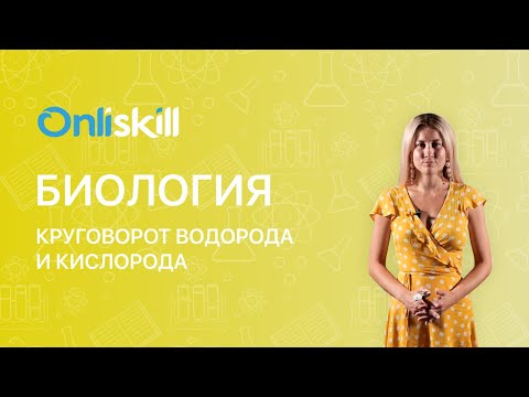 Видео: Биология 11 класс: Круговорот водорода и кислорода. Круговорот воды