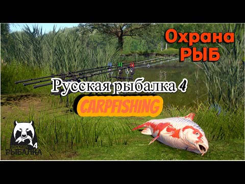 Видео: 🔴Рыбалка на  • Медном озере • Русская Рыбалка 4
