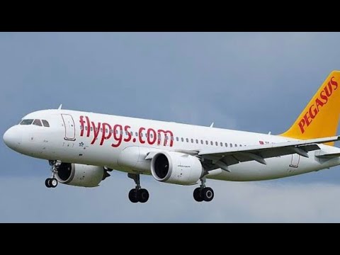 Видео: Самостоятльно в Египет. Перелет турецким лоукостером Pegasus.