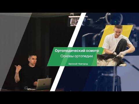 Видео: Ортопедический осмотр собак, основы ортопедии.