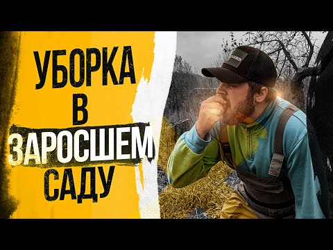 Видео: Здесь не ступала нога человека 5 лет / Уборка в заброшенном саду / Белорусская деревня / Часть 1