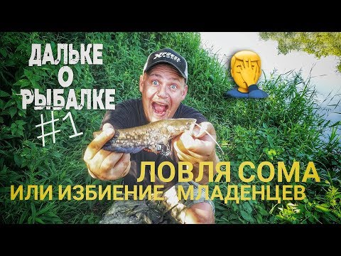 Видео: Как ловить крупного сома. Ловля сома или избиение младенцев? Дальке о рыбалке 1