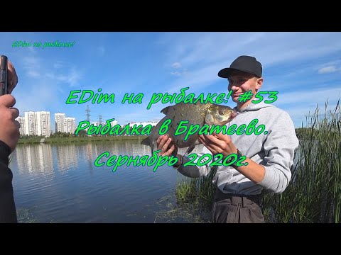 Видео: EDim на рыбалке! #53   Братеево.  Сентябрь 2020