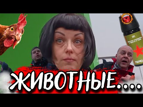 Видео: СтопХам-Семейка буйных угощается перцем 🌶(●'◡'●)