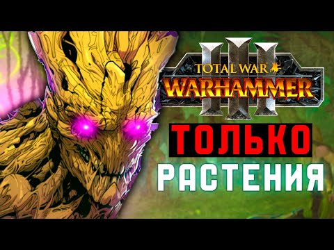 Видео: Я УСТРОИЛ ГЕНОЦИД ЭЛЬФОВ [Total War: Warhammer 3]